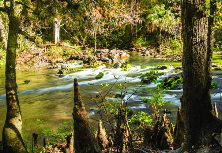 Hillsborough River State Park
